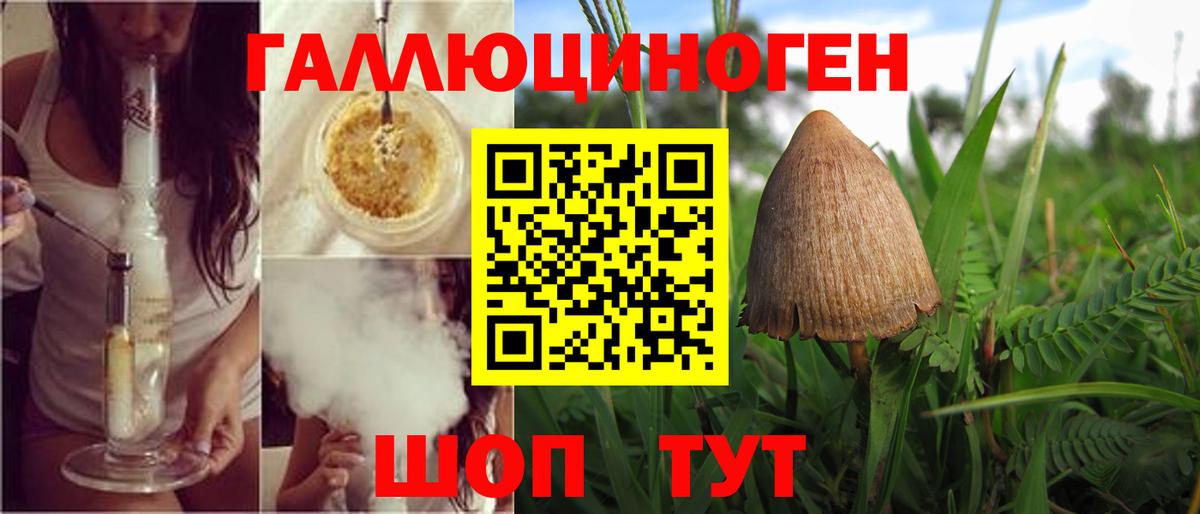 Псилоцибиновые грибы Cubensis Можга